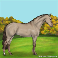Horse Color:Liver Red Dun 