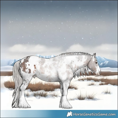 Horse Color:White Spotted Silver Brown Mushroom Sabino 