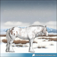 Horse Color:White Spotted Silver Brown Mushroom Sabino 