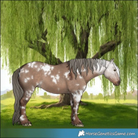 Horse Color:White Spotted Liver Red Dun Mushroom