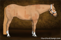 Horse Color:Chestnut  and Chestnut 
