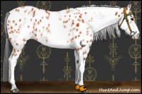Horse Color:White Spotted Bay Frame Appaloosa 