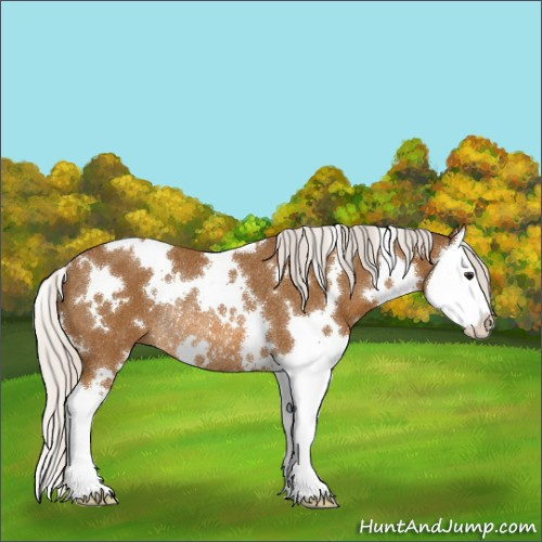 Horse Color:White Spotted Silver Buckskin Splash Rabicano 