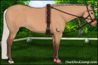 Horse Color:Silver Bay Dun 