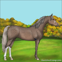 Horse Color:Silver Black 