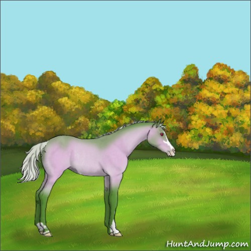 Horse Color:Watercolor Chocolate Silver Brown Chinchilla Sabino Rabicano 
