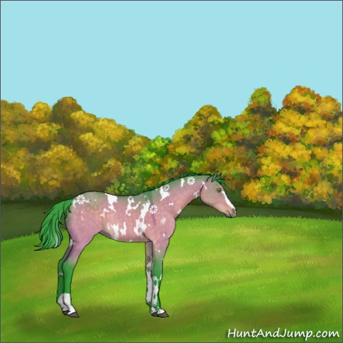 Horse Color:Watercolor White Spotted Brown Dun Sabino Rabicano 