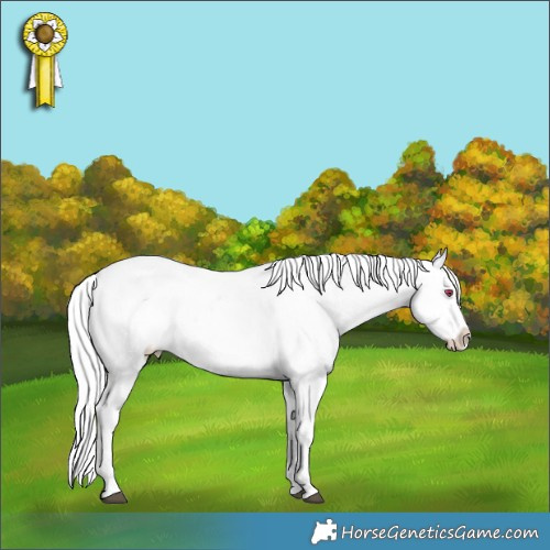 Horse Color:Watercolor White Spotted Silver Grullo Chinchilla Sabino Appaloosa Rabicano 