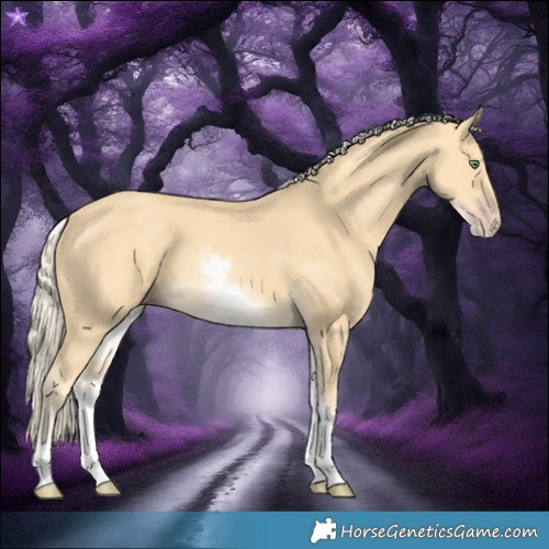 Horse Color:White Spotted Gold Cream Champagne 