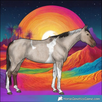 Horse Color:Liver Red Dun Roan Tobiano Rabicano