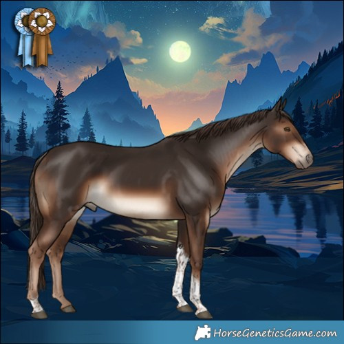 Horse Color:Liver Chestnut Tobiano Rabicano