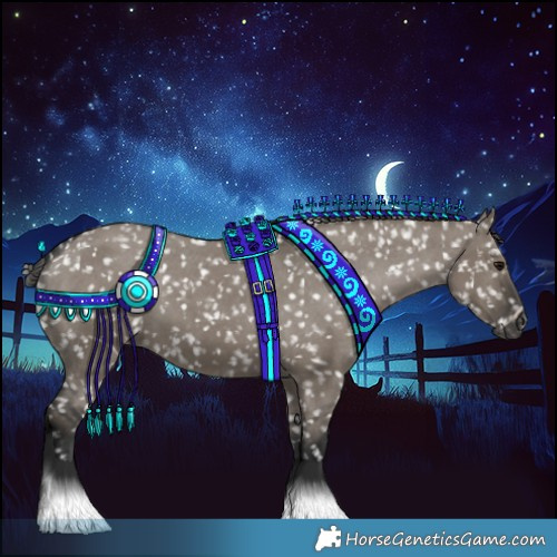 Horse Color:Gray Grullo Appaloosa 