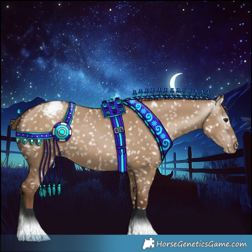 Horse Color:Gray Grullo Pearl Appaloosa 