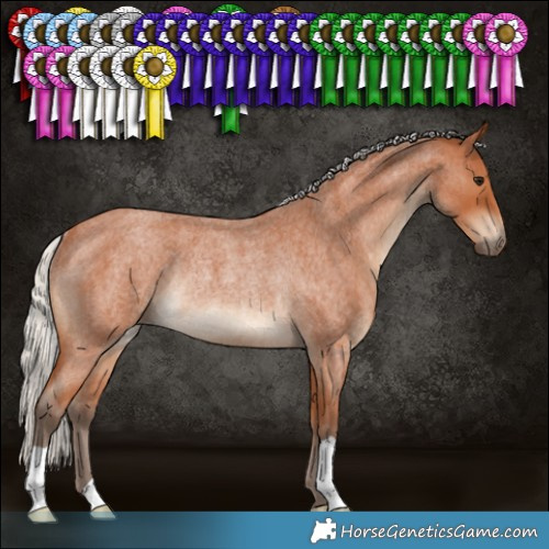 Horse Color:Silver Bay Roan Rabicano 