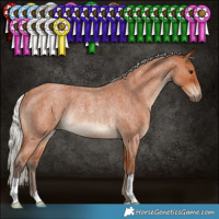 Horse Color:Silver Bay Roan Rabicano 