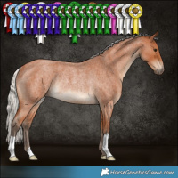 Horse Color:Silver Bay Roan Rabicano 
