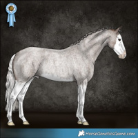 Horse Color:Silver Blue Roan Splash Rabicano