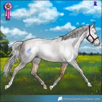 Horse Color:Gray Silver Buckskin Roan Pearl 