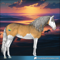 Horse Color:Silver Buckskin Splash 