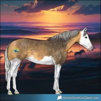 Horse Color:Silver Buckskin Splash 