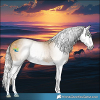 Horse Color:Gray Silver Amber Cream Champagne Splash 