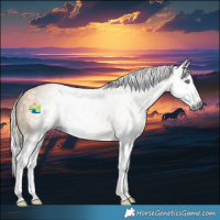 Horse Color:Gray Silver Amber Cream Champagne Splash 