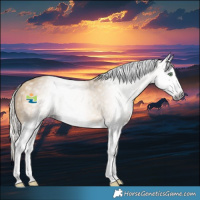 Horse Color:Gray Silver Amber Cream Champagne Splash 