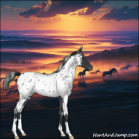 Horse Color:White Spotted Blue Roan Appaloosa 