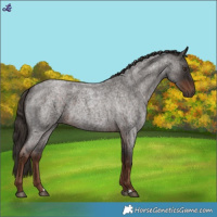 Horse Color:Liver Red Roan 