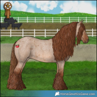 Horse Color:Red Dun Roan 