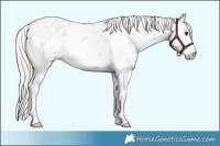 Horse Color:Silver Black Sabino