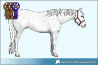 Horse Color:Silver Black Sabino 
