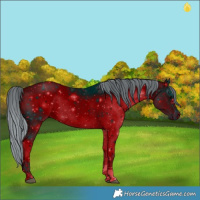 Horse Color:ERROR: UNKNOWN ANOMALY