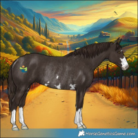 Horse Color:Liver Chestnut Rabicano 