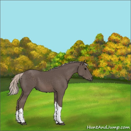 Horse Color:Silver Black Tobiano 