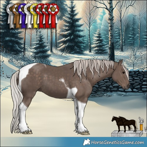 Horse Color:Silver Black Tobiano 