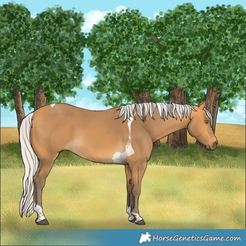 Horse Color:Silver Buckskin Tobiano 
