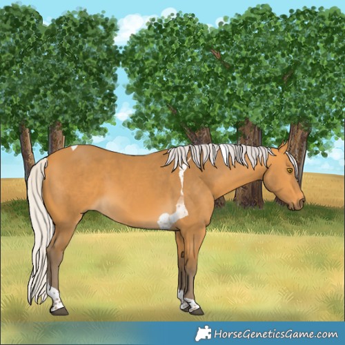 Horse Color:Silver Buckskin Tobiano 