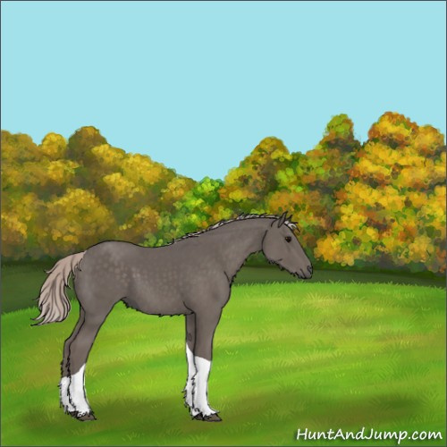Horse Color:Silver Black Tobiano 