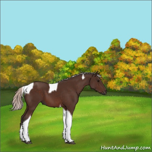 Horse Color:Silver Brown Tobiano 