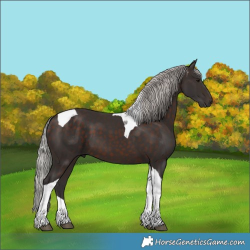 Horse Color:Silver Brown Tobiano 