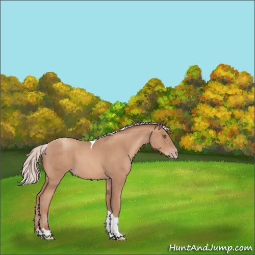 Horse Color:Silver Classic Champagne Tobiano 