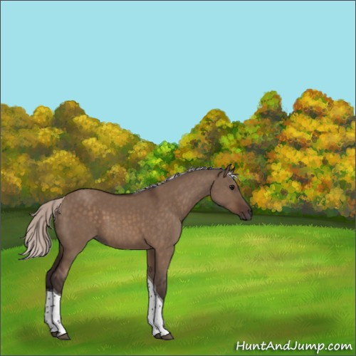 Horse Color:Silver Brown Dun Tobiano Rabicano 