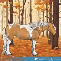Horse Color:Silver Buckskin Tobiano 