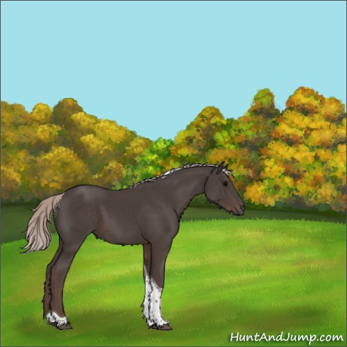Horse Color:Silver Black Tobiano 