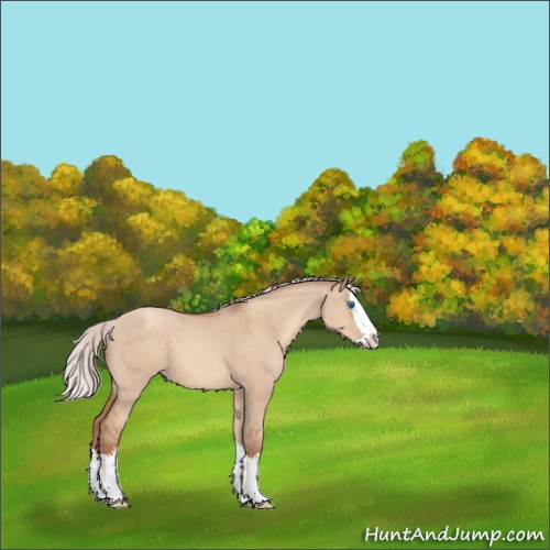 Horse Color:Silver Sable Champagne Dun Sabino Splash 