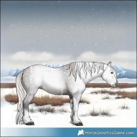 Horse Color:Gray Silver Brown Sabino Splash Tobiano 