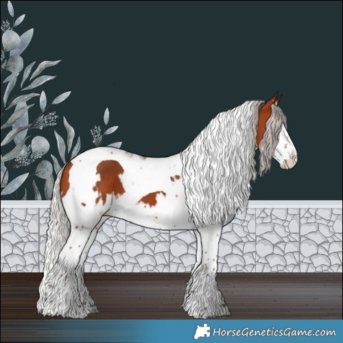 Horse Color:White Spotted Silver Bay Splash Tobiano 