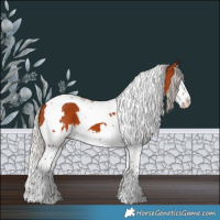 Horse Color:White Spotted Silver Bay Splash Tobiano 
