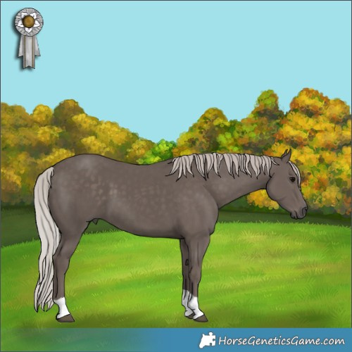 Horse Color:Silver Black Tobiano 